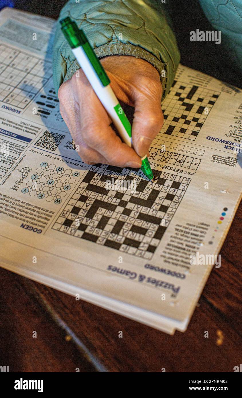 Crossword puzzle close-up.hand fare crossword. Primo piano di una mano di una donna, penna e puzzle cruciverba giornale. Foto Stock