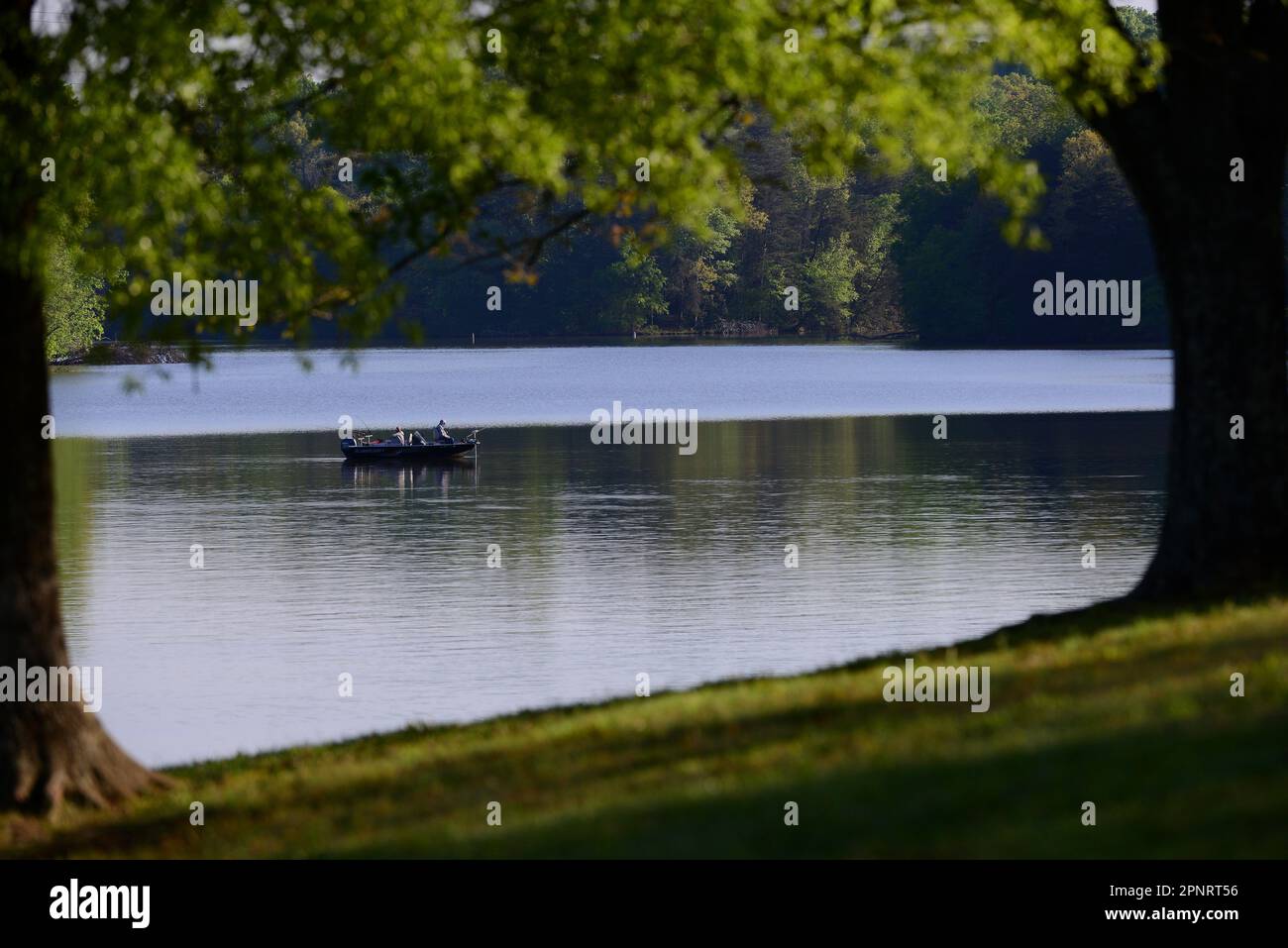 Pesca al branzino su un lago Foto Stock
