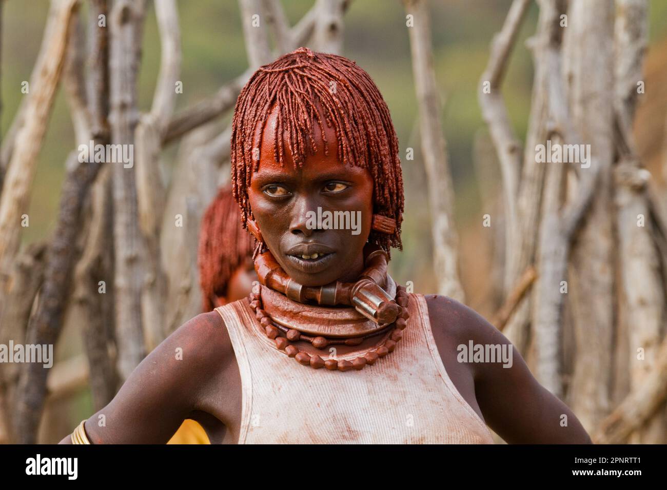 Hamer Tribe, Etiopia Foto Stock