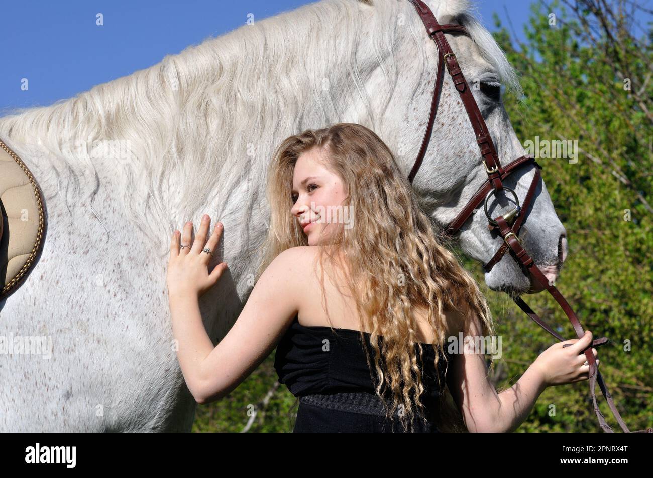 ritratto di ragazza bionda con capelli lunghi e cavallo bianco nella giornata di sole Foto Stock