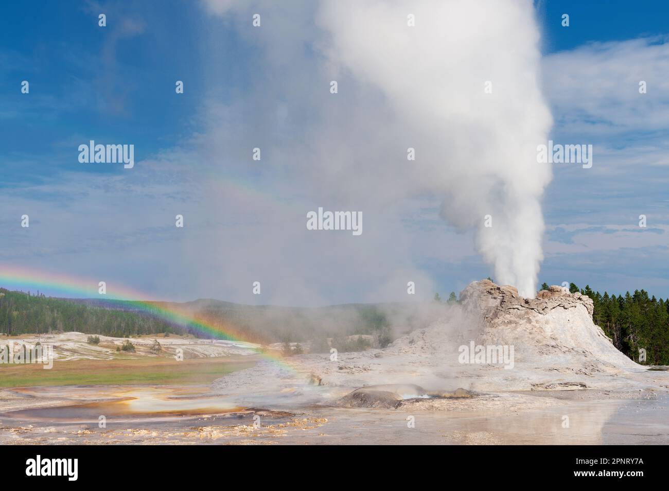 Castle Geyser erutta con l'arcobaleno, parco nazionale di Yellowstone, Wyoming, USA. Foto Stock