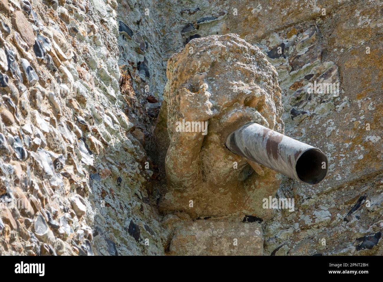 Un beccuccio d'acqua gargoyle St Mary the Virgin Church Parham, Suffolk Foto Stock