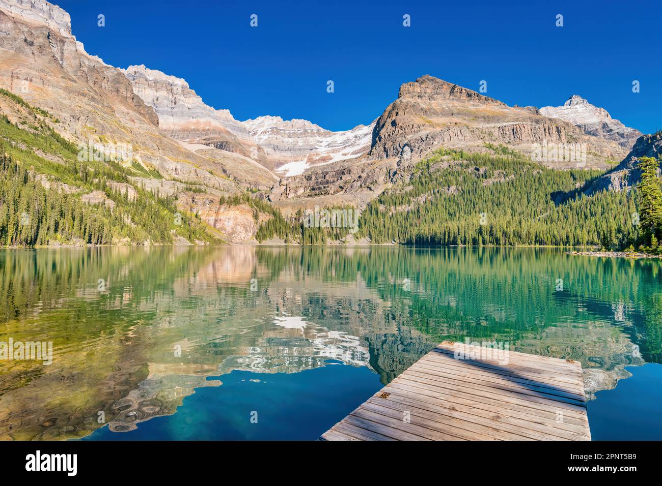 Lago o'Hara nel Parco Nazionale di Yoho, Canadian Rockies, British Columbia, Canada Foto Stock