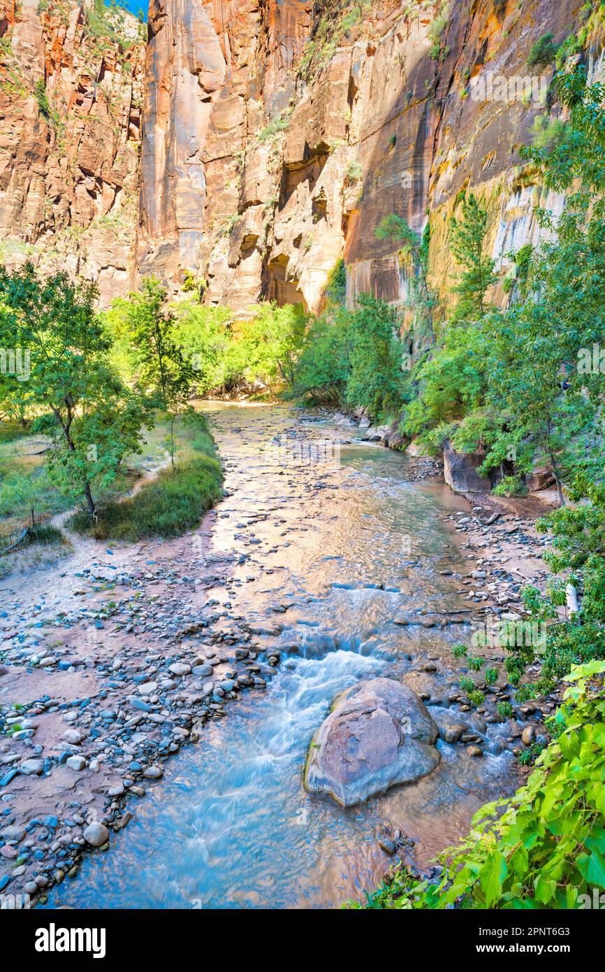 Virgin River alla foce dei Narrows nel Zion National Park, Utah, USA. Foto Stock