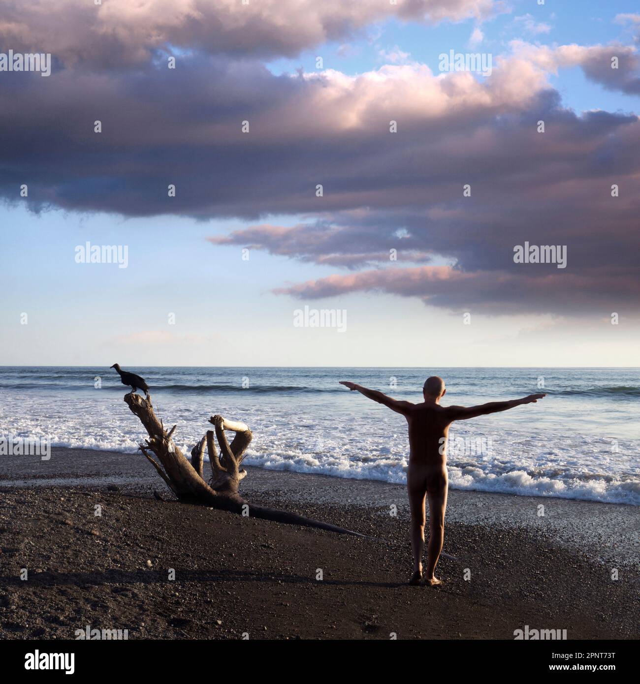 Vista posteriore dell'uomo nudo sulla spiaggia dell'oceano Foto Stock