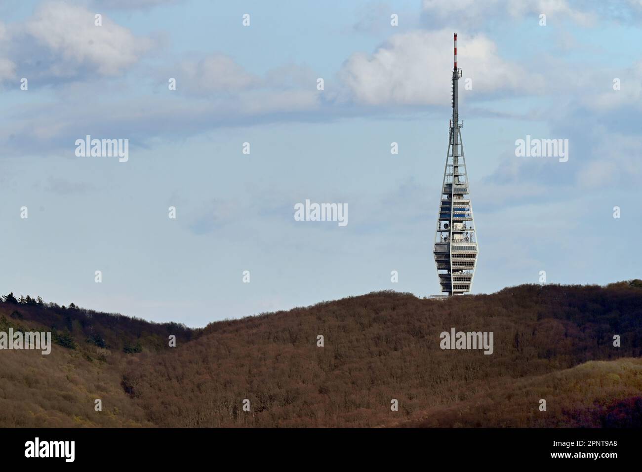 Kamzík televisione e torre di osservazione che si innalza sopra il bosco a Bratislava Foto Stock