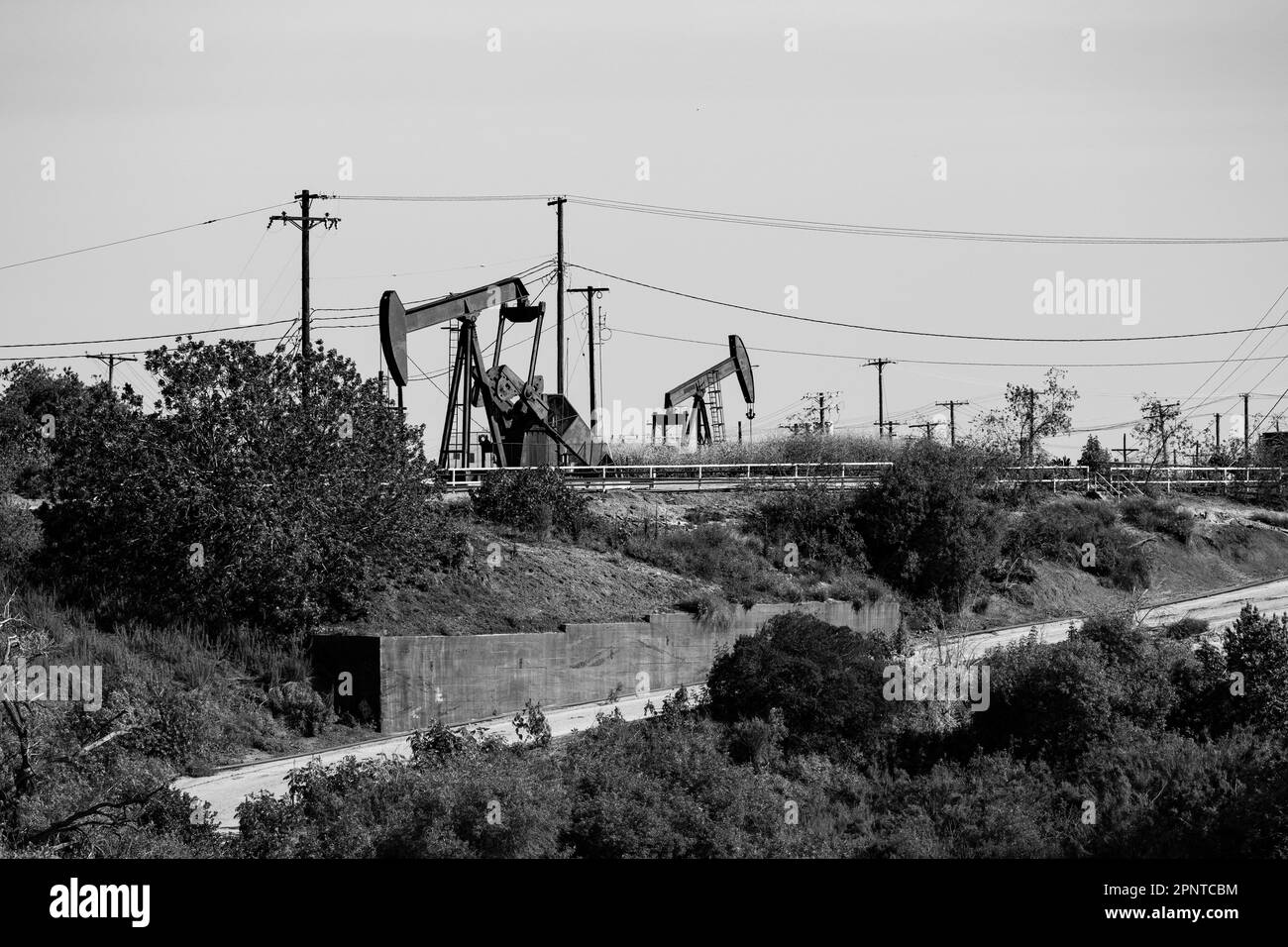 Inglewood, California, Stati Uniti. 19th Apr, 2023. Petroliere che estraggono petrolio greggio dal giacimento di petrolio di Inglewood. Los Angeles ospita il più grande numero di pozzi petroliferi urbani del mondo, con alcuni dei più antichi pozzi petroliferi in funzione tra Inglewood, Long Beach e Beverly Hills, che causano notevoli effetti sulla salute pubblica. Los Angeles City e Los Angeles County hanno entrambi votato per vietare la produzione di petrolio e la graduale eliminazione di Inglewood Oil Field.Oil è un combustibile fossile che si forma dai resti di antichi organismi marini. È una fonte di energia importante per il mondo, ed è utilizzata per generare elettri Foto Stock