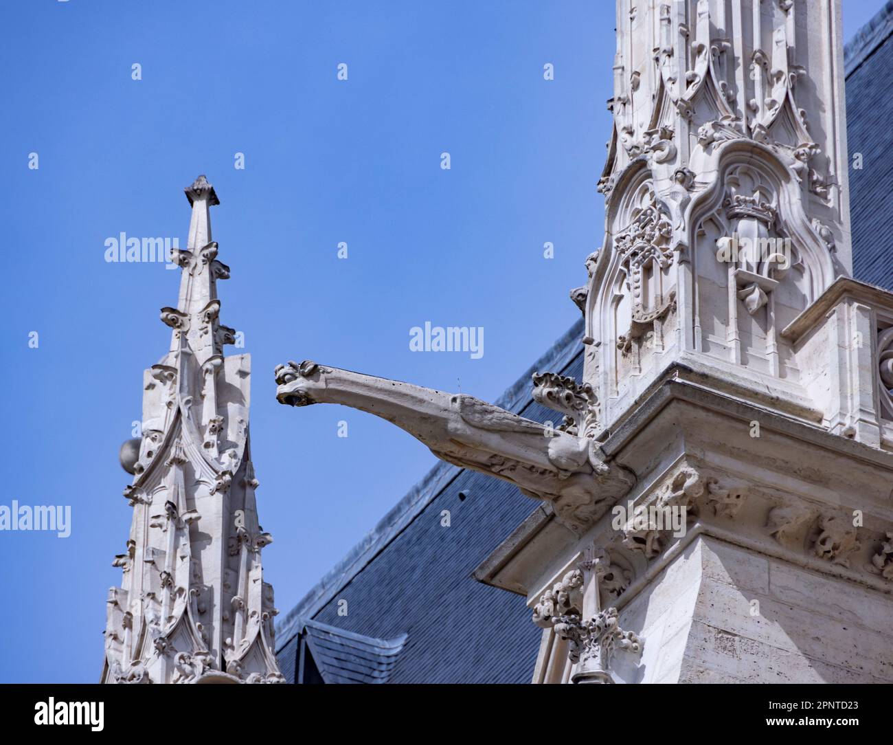 gargoyle, Sainte-Chapelle de Vincennes, la cappella gotica reale, Parigi, Francia Foto Stock