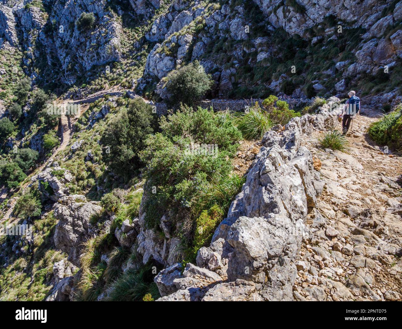 Un camminatore sulla ripida discesa tra il Coll des Prat e il monastero di Lluc sulla GR 221 Drystone percorso attraverso i Monti Tramuntana di Maiorca Foto Stock