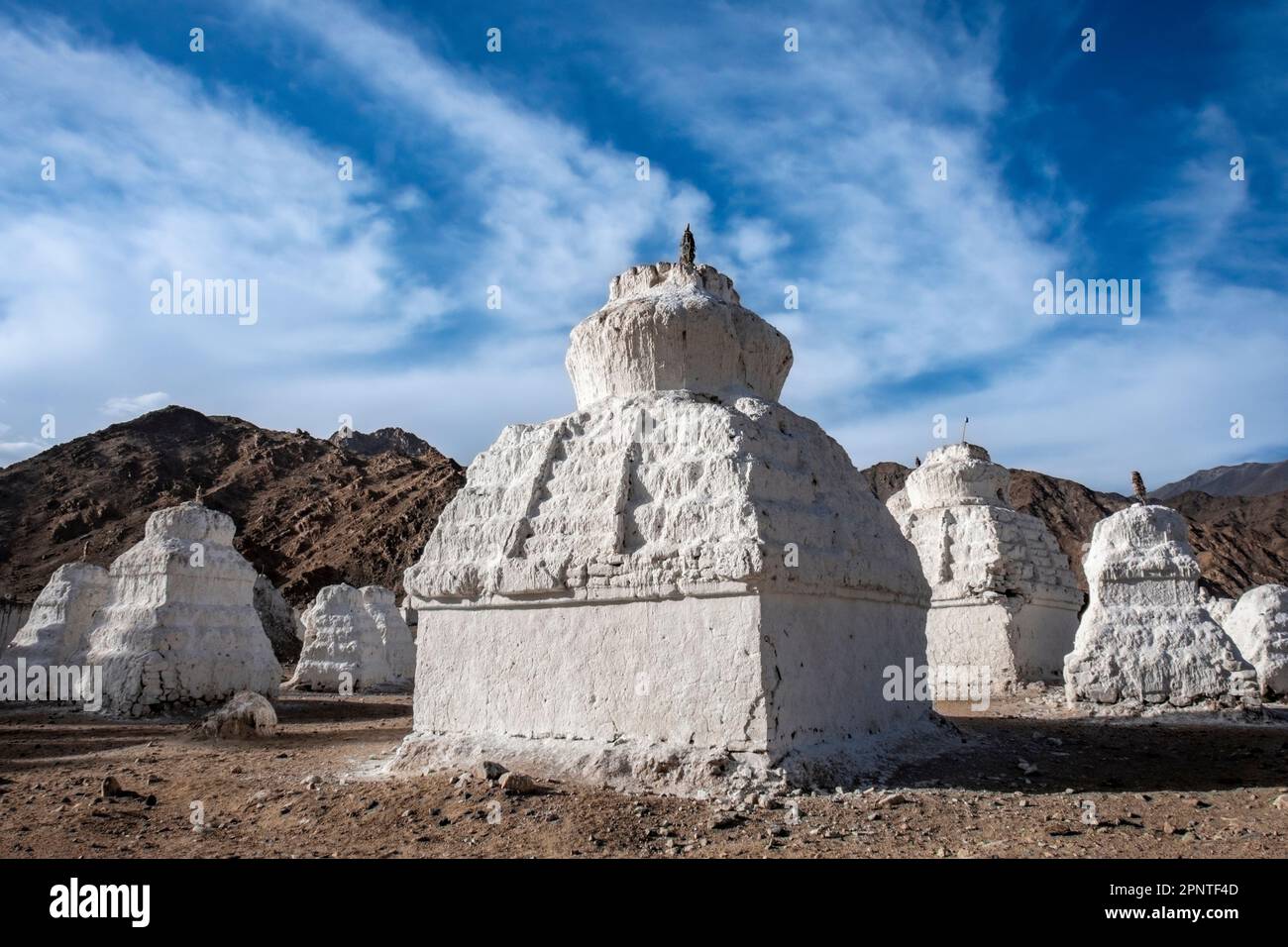 Chortens a Mane, Shey, Ladakh, India Foto Stock