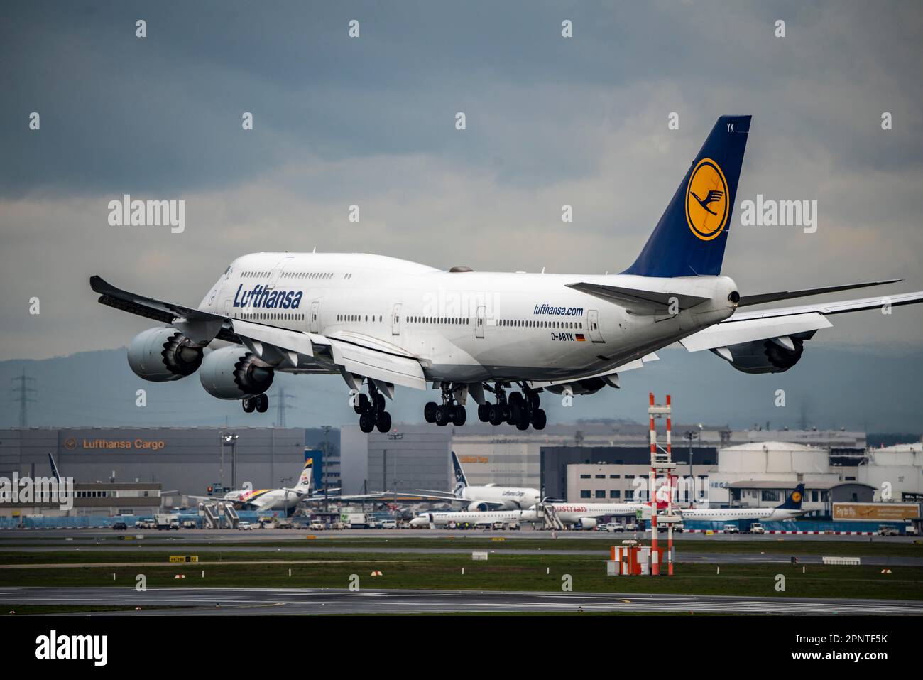 Lufthansa Boeing 747-830, in avvicinamento all'aeroporto di Francoforte, fra, Assia, Germania, Foto Stock