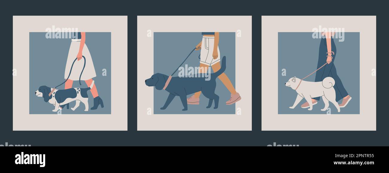 Cane Show o concorrenza. L'uomo tiene il cane al guinzaglio. Set di illustrazioni vettoriali. Illustrazione Vettoriale