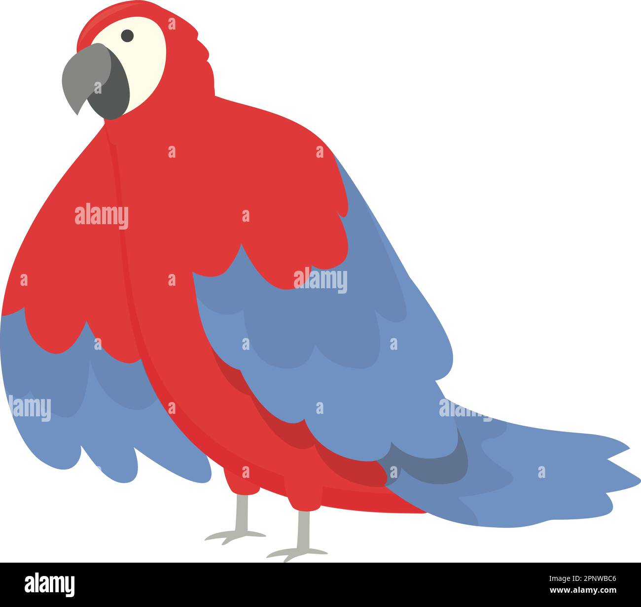 Genus zoo macaw icona cartoon vettore. Uccello tropicale. Piuma della natura Illustrazione Vettoriale