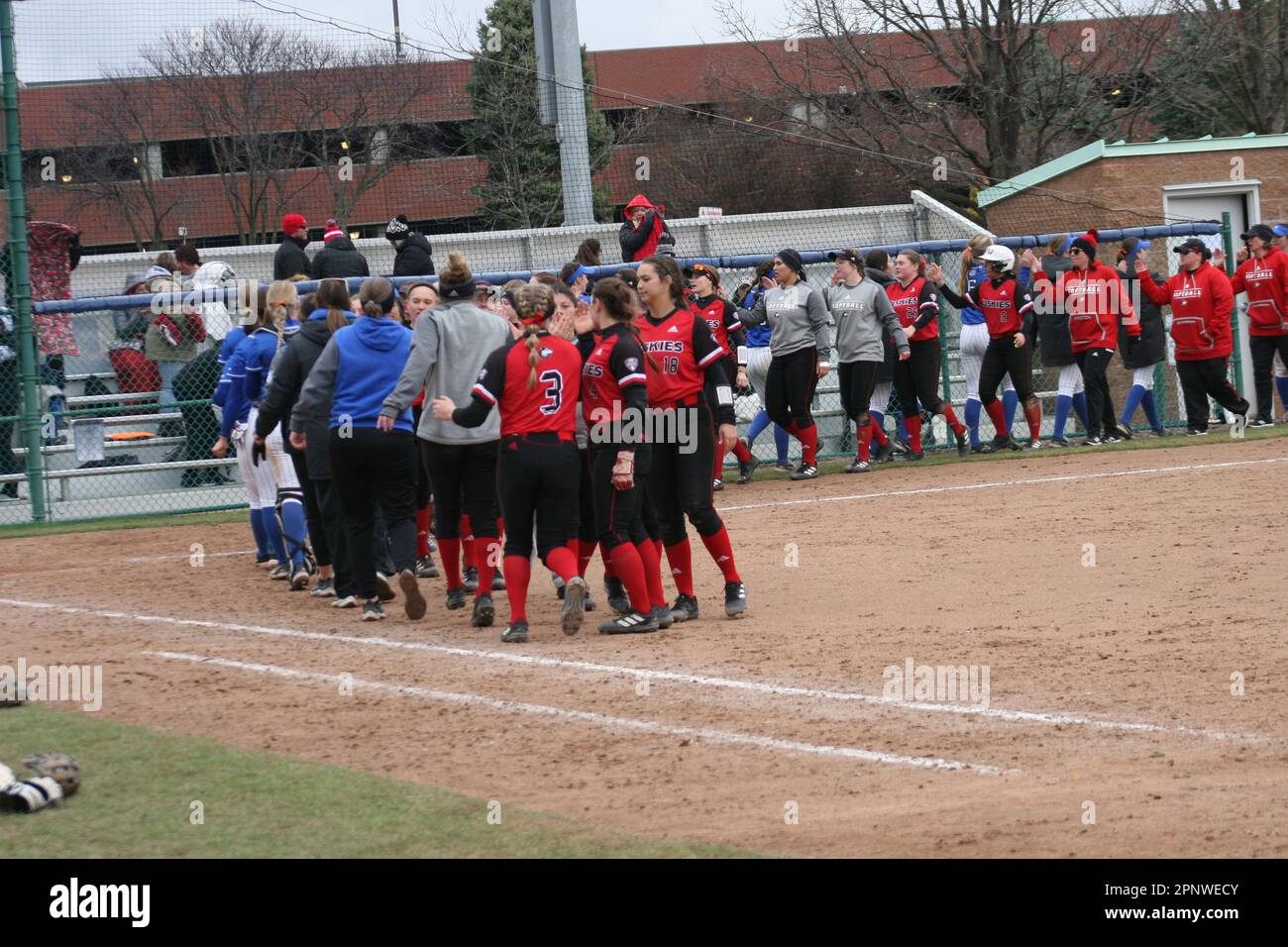 SLU Softball vs. Illinois settentrionale (Huskies) e Bradley (Braves) a St. Louis University. Foto Stock