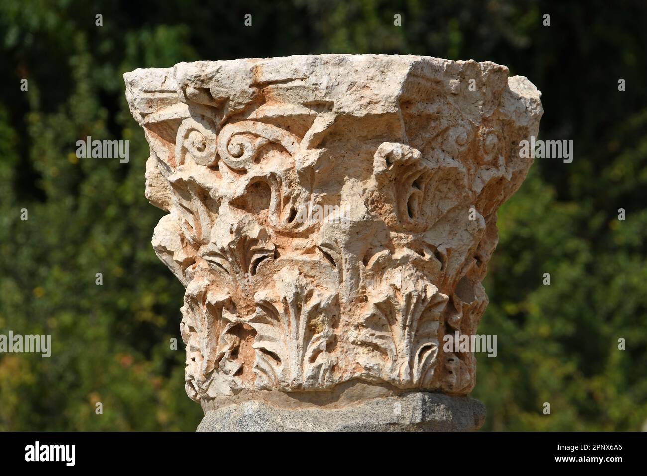 Testa di colonna nel parco nazionale di Banias, Israele Foto Stock