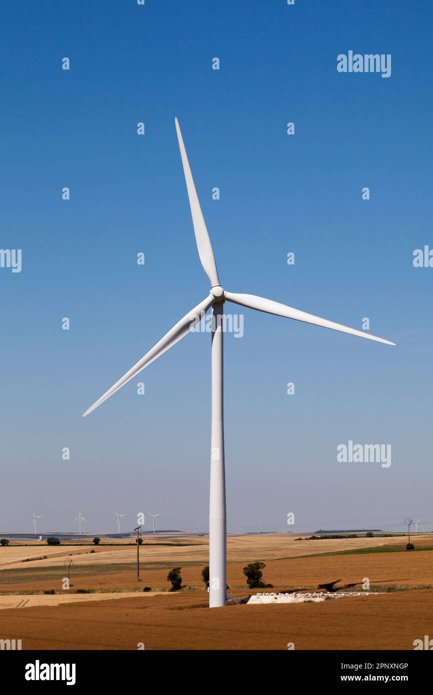 Turbine eoliche nel mezzo di un campo di grano. Foto Stock