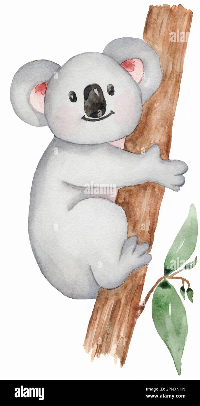 Clipart Koala. Acquerello Baby koala sull'arte della clip dell'albero, animale tropicale, foglie, vita della giungla, acquazzone del bambino, Festa di compleanno per bambini Foto Stock