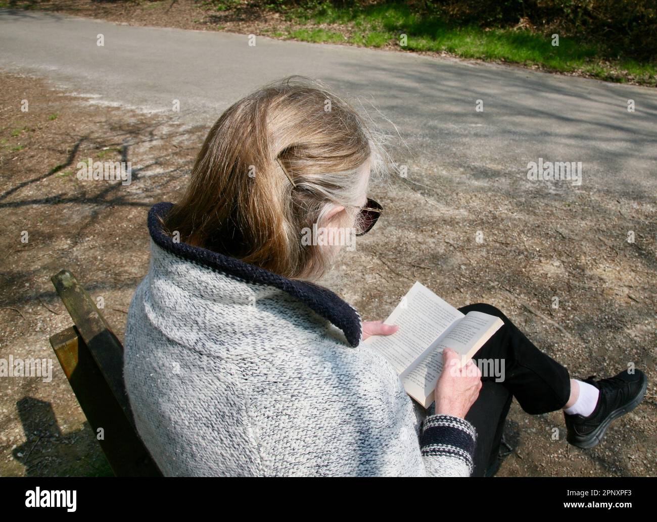 Il lettore di libri Foto Stock