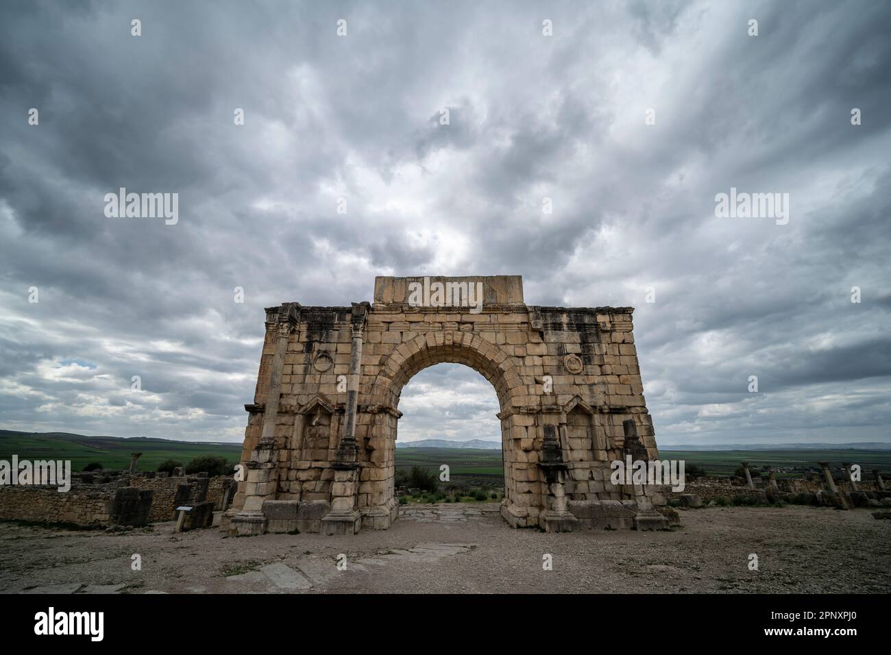 Resti archeologici dell'antica città romana di Volubilis. Foto Stock