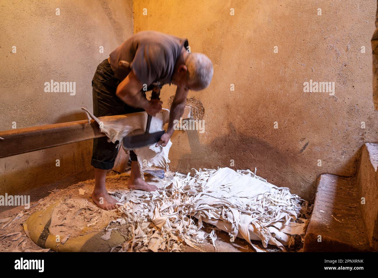 Un operaio nelle concerie di Fez ammorbidisce le pelli già conciate con un attrezzo speciale che viene spinto con il petto. Foto Stock
