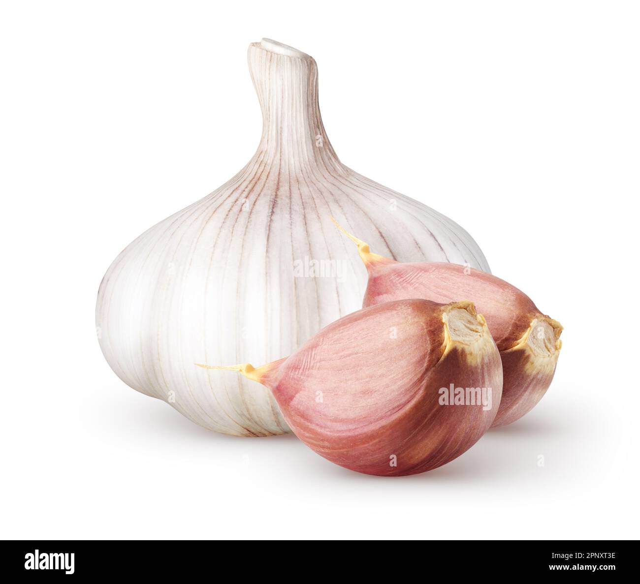 Aglio isolato. Aglio intero crudo con due segmenti isolati su fondo bianco con percorso di ritaglio Foto Stock