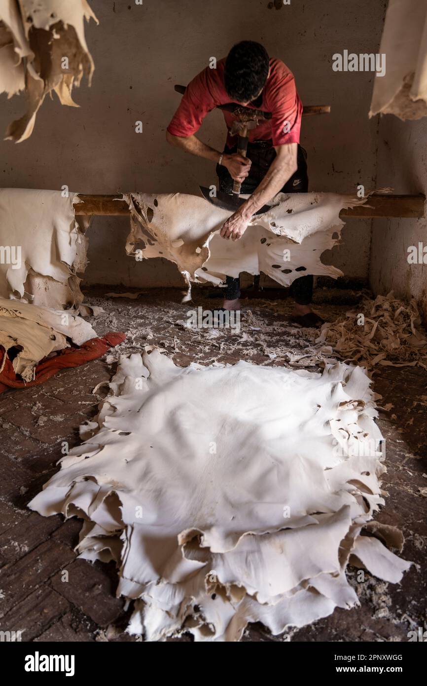 Un operaio nelle concerie di Fez ammorbidisce le pelli già conciate con un attrezzo speciale che viene spinto con il petto. Foto Stock