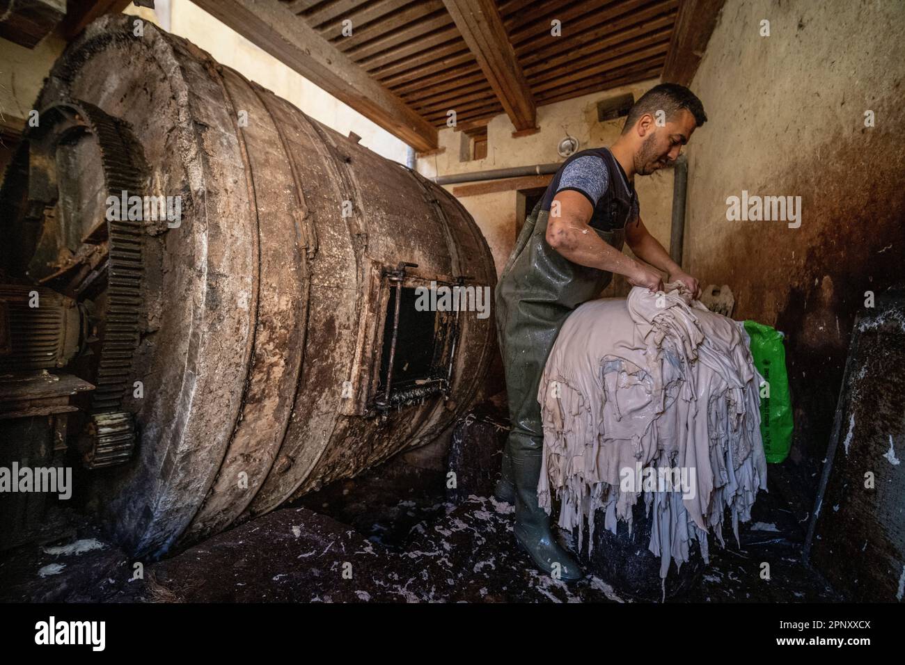Un operaio nelle concerie di Fez che si occupa delle pelli durante il processo di concia. Foto Stock