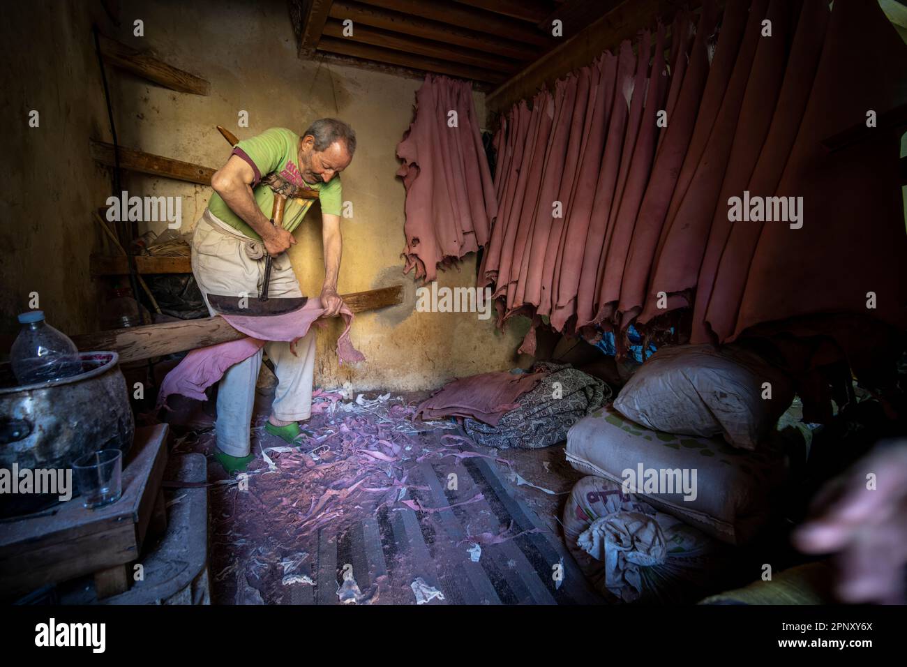 Un operaio nelle concerie di Fez ammorbidisce le pelli già conciate con un attrezzo speciale che viene spinto con il petto. Foto Stock