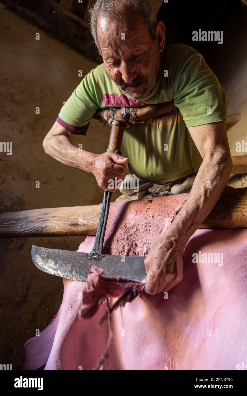 Un operaio nelle concerie di Fez ammorbidisce le pelli già conciate con un attrezzo speciale che viene spinto con il petto. Foto Stock