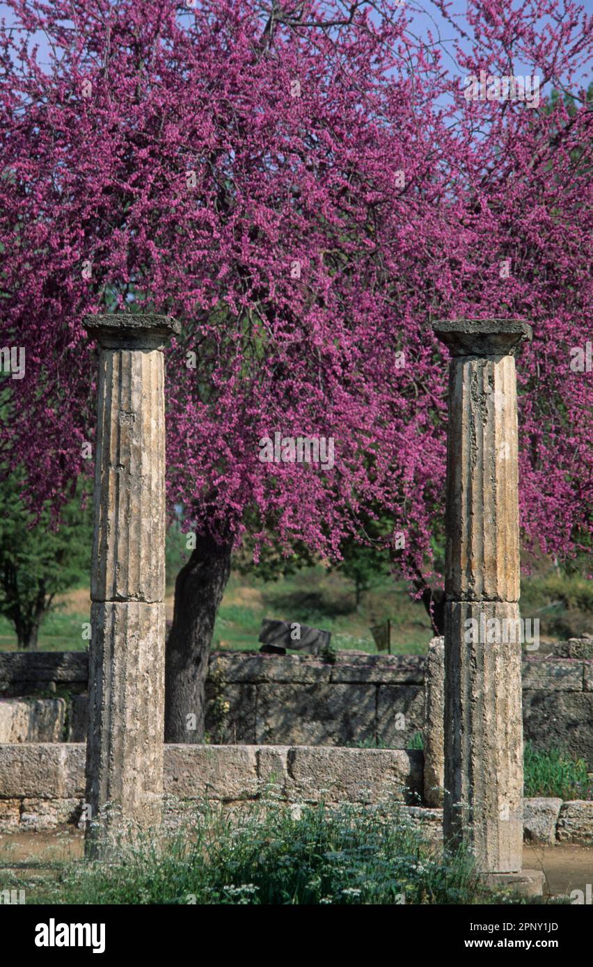 Antica Olympia, Grecia. Foto Stock