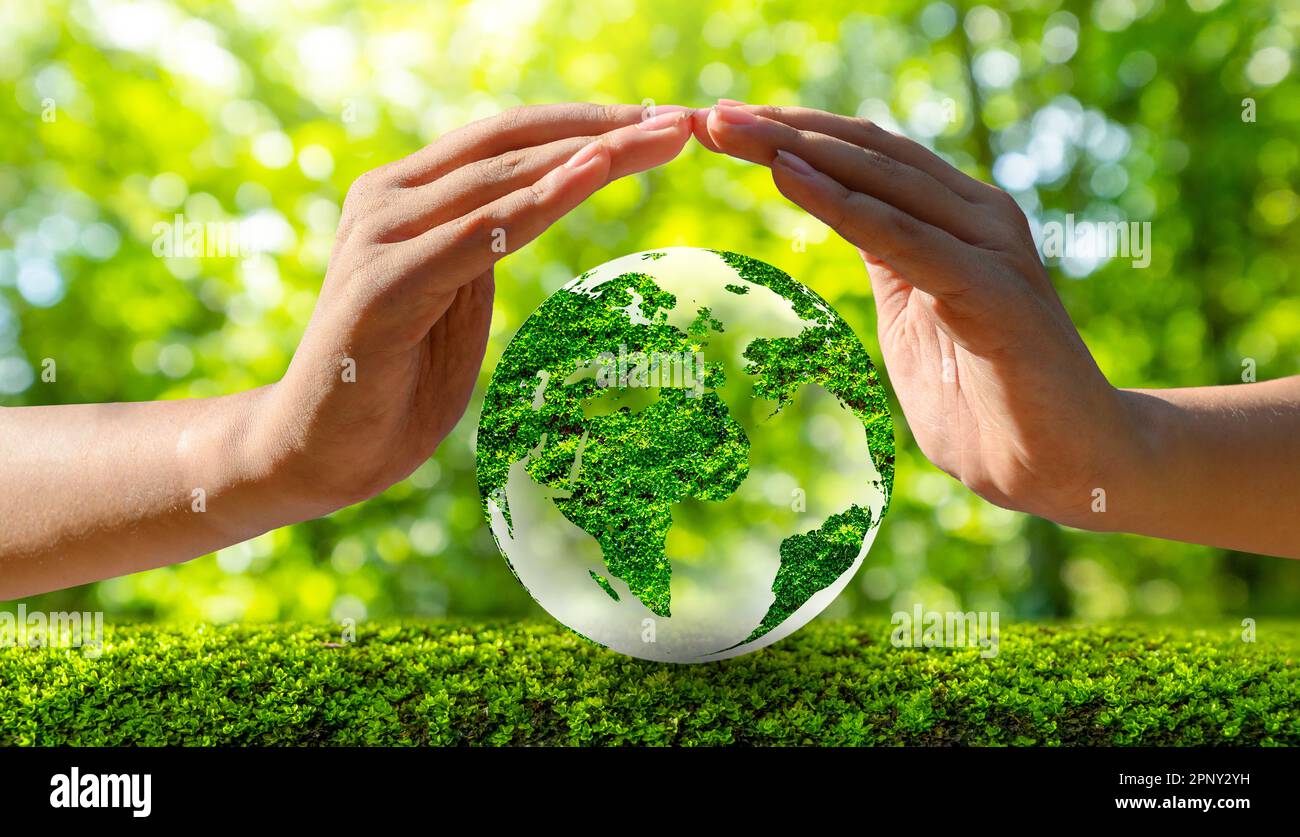 Ambiente per la Giornata della Terra nelle mani di alberi che crescono i semenzali. Bokeh sfondo verde femmina lato albero di trattenimento sul campo di natura foresta di erba conservati Foto Stock