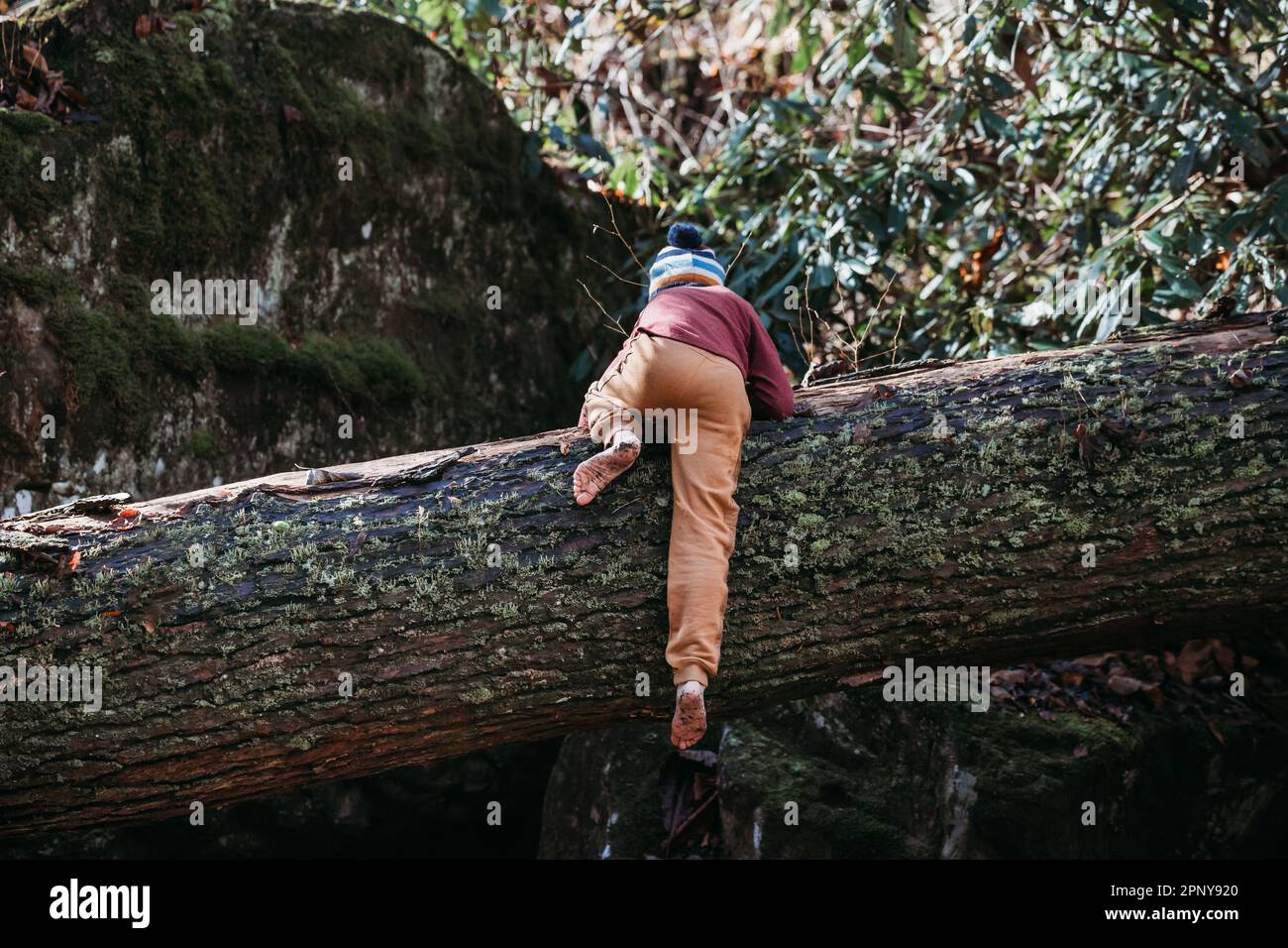 Bambino arrampicata sul log in natura Foto Stock