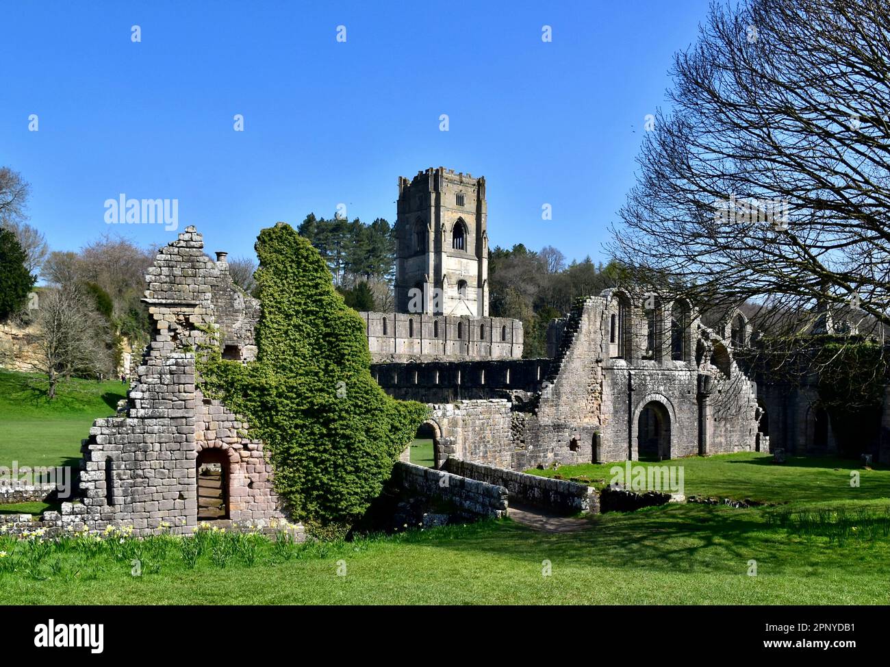 Il Ponte Infirmary che attraversa il fiume Skell nei terreni delle rovine dell'Abbazia di Fountains. Foto Stock