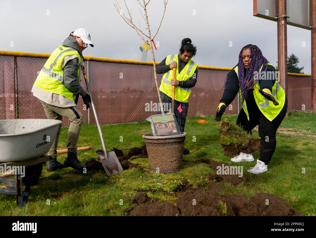 Weyerhaeuser employee Teri Rongen, left, student Troy Rath, 15, and Tacoma Public Schools board member Chelsea McElroy work on planting a tree in the fields behind Mount Tahoma High School during an event with American Forests, Friday, April 14, 2023, in Tacoma, Wash. (AP Photo/Lindsey Wasson) Foto Stock