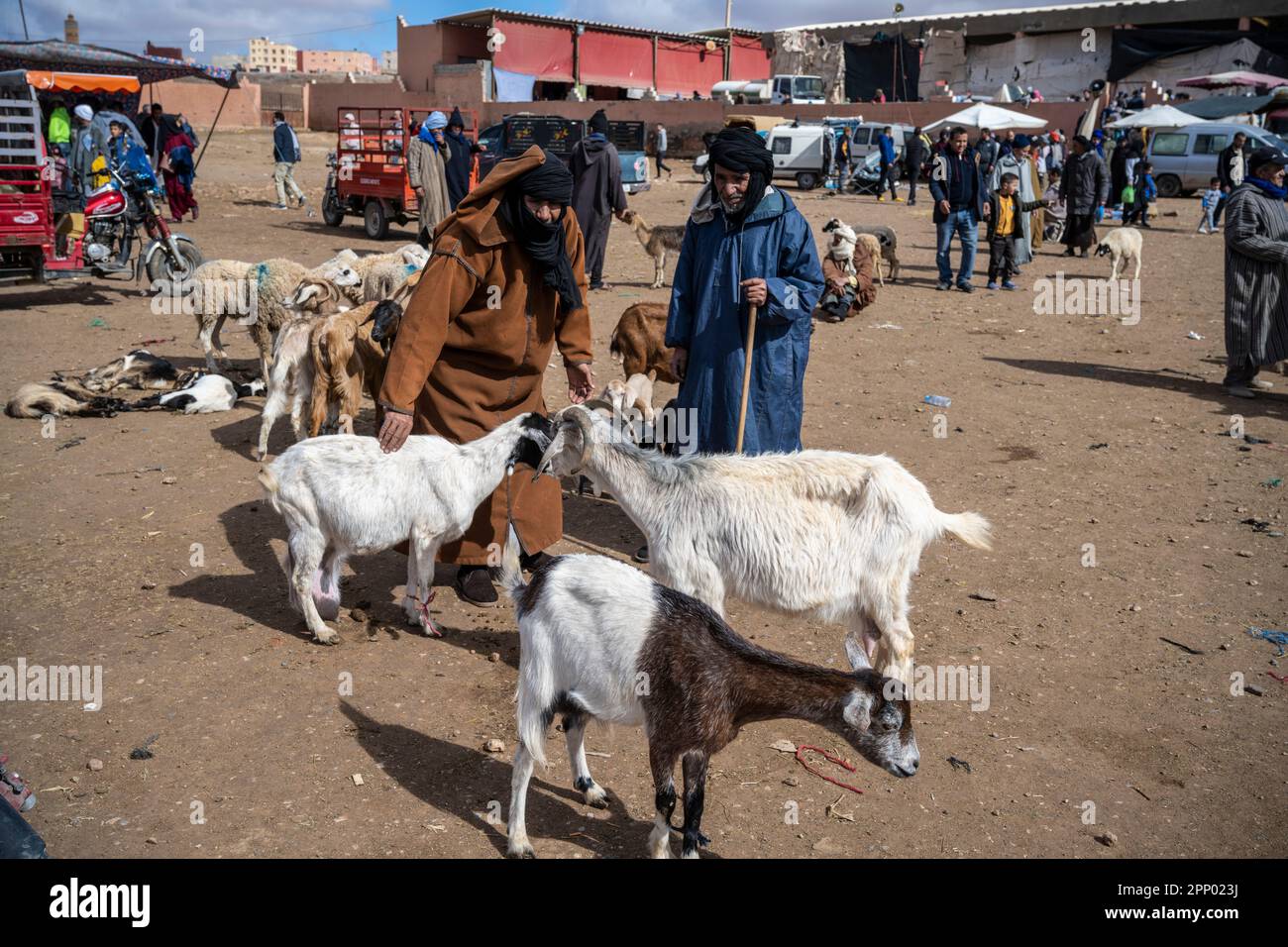 Uomini berberi che vendono capre al mercato animale di Guelmim. Foto Stock