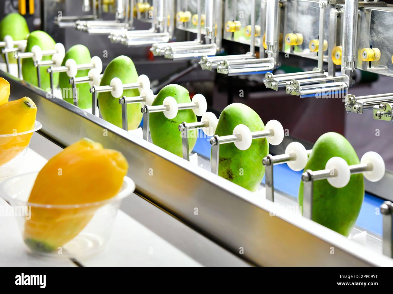 Linea di produzione automatica di macchine da pelare mango su macchinari in fabbrica Foto Stock