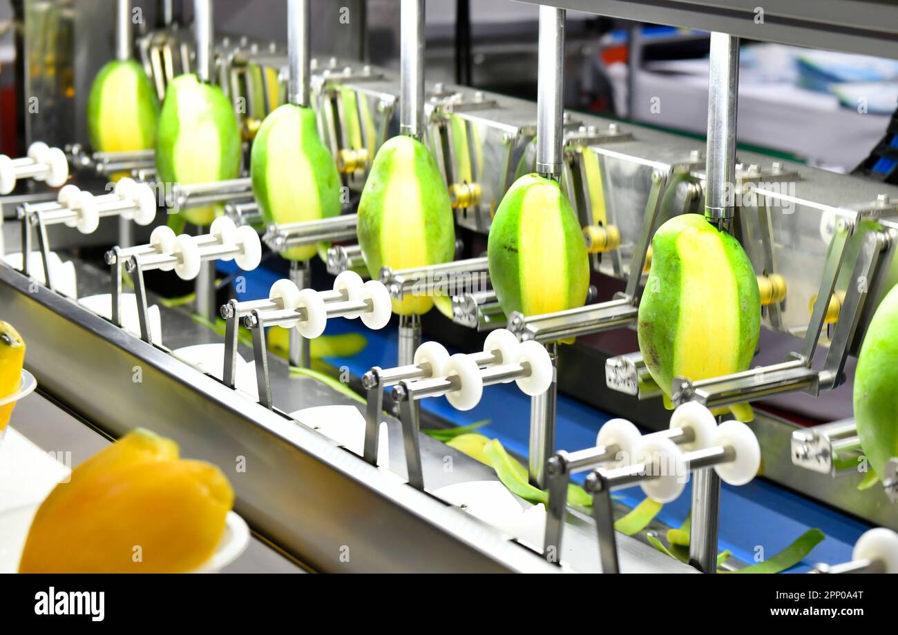 Linea di produzione automatica di macchine da pelare mango su macchinari in fabbrica Foto Stock
