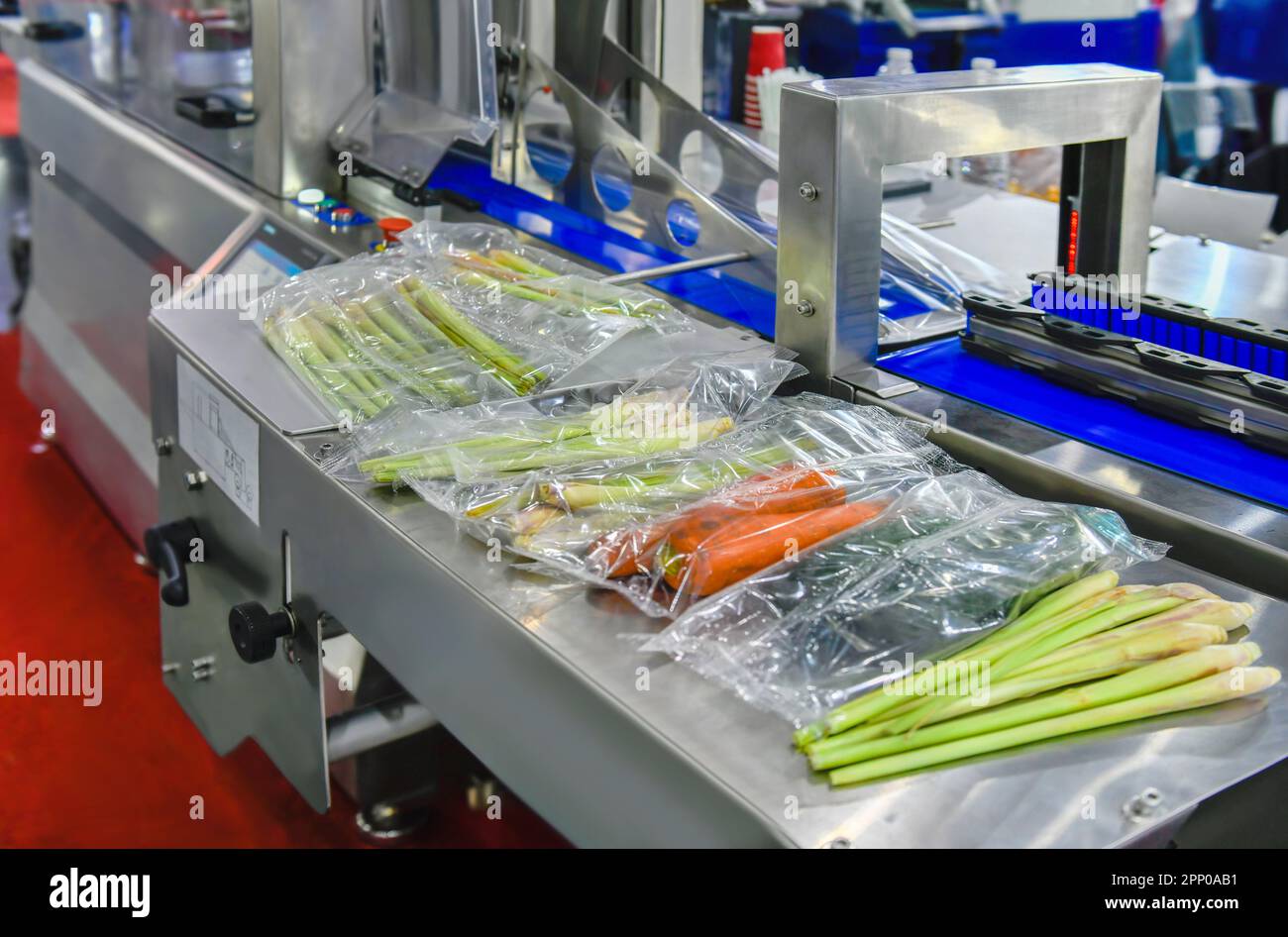 Ortaggi freschi confezionati in una linea di produzione di sacchetti di plastica trasparente in fabbrica, produzione alimentare industriale Foto Stock