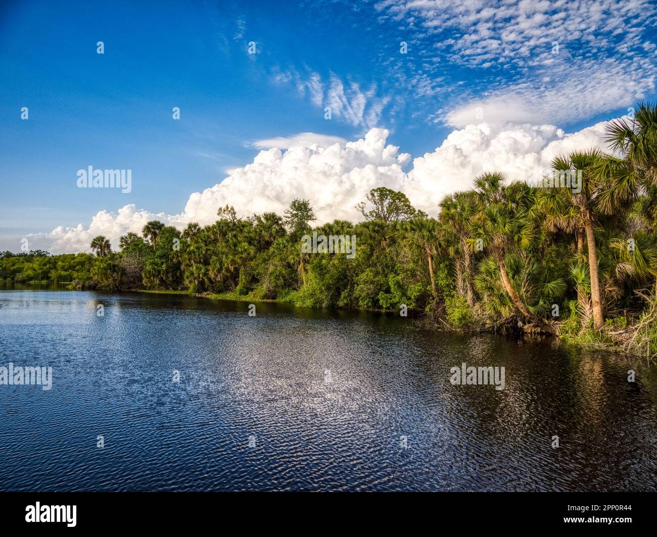 Grandi nuvole bianche di cumuli sopra Deer Ptairie Creek a Deer Creek Prarie Creek Preserve a Venice Florida USA Foto Stock