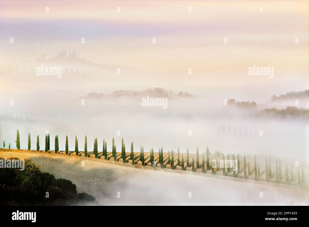 Paesaggio cipresso, Provincia di Siena, Toscana, Italia Foto Stock