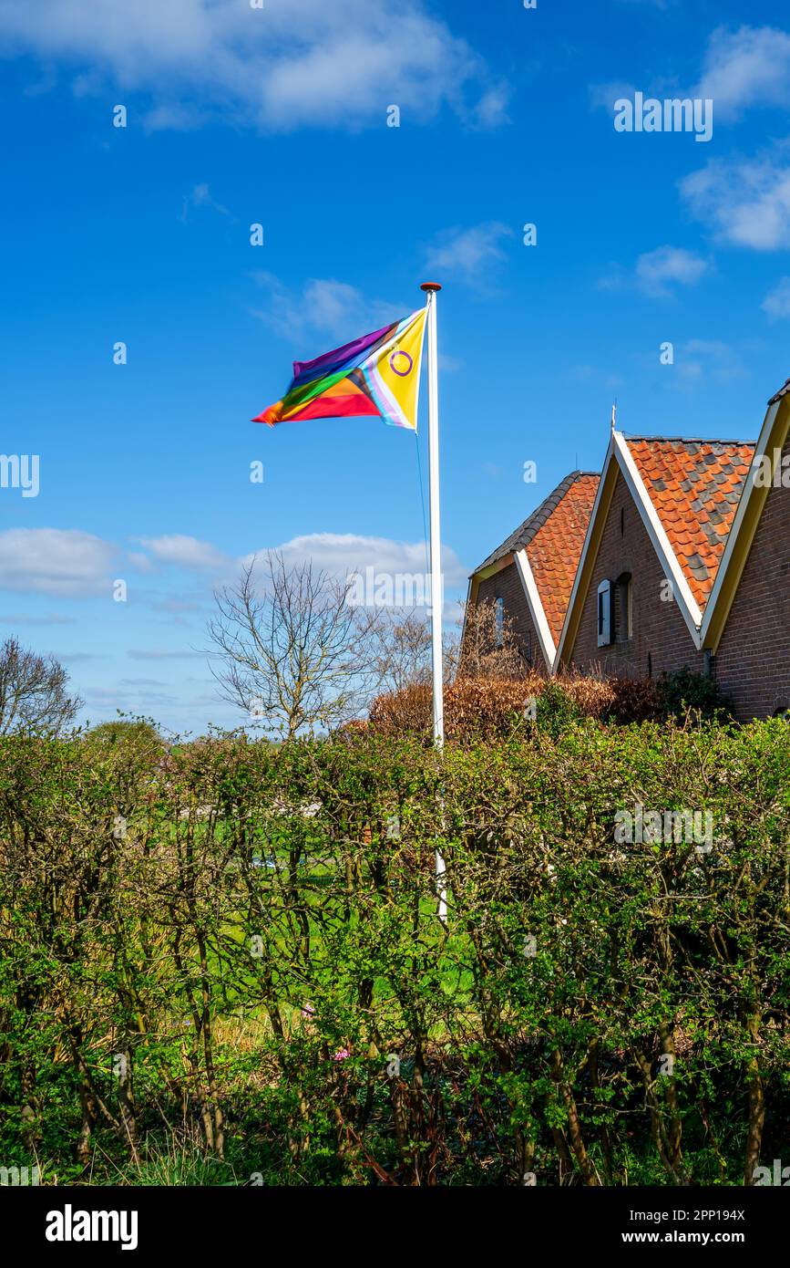 Scena con LGBTQ PRIDE-flag (6 colori e non binari) Foto Stock