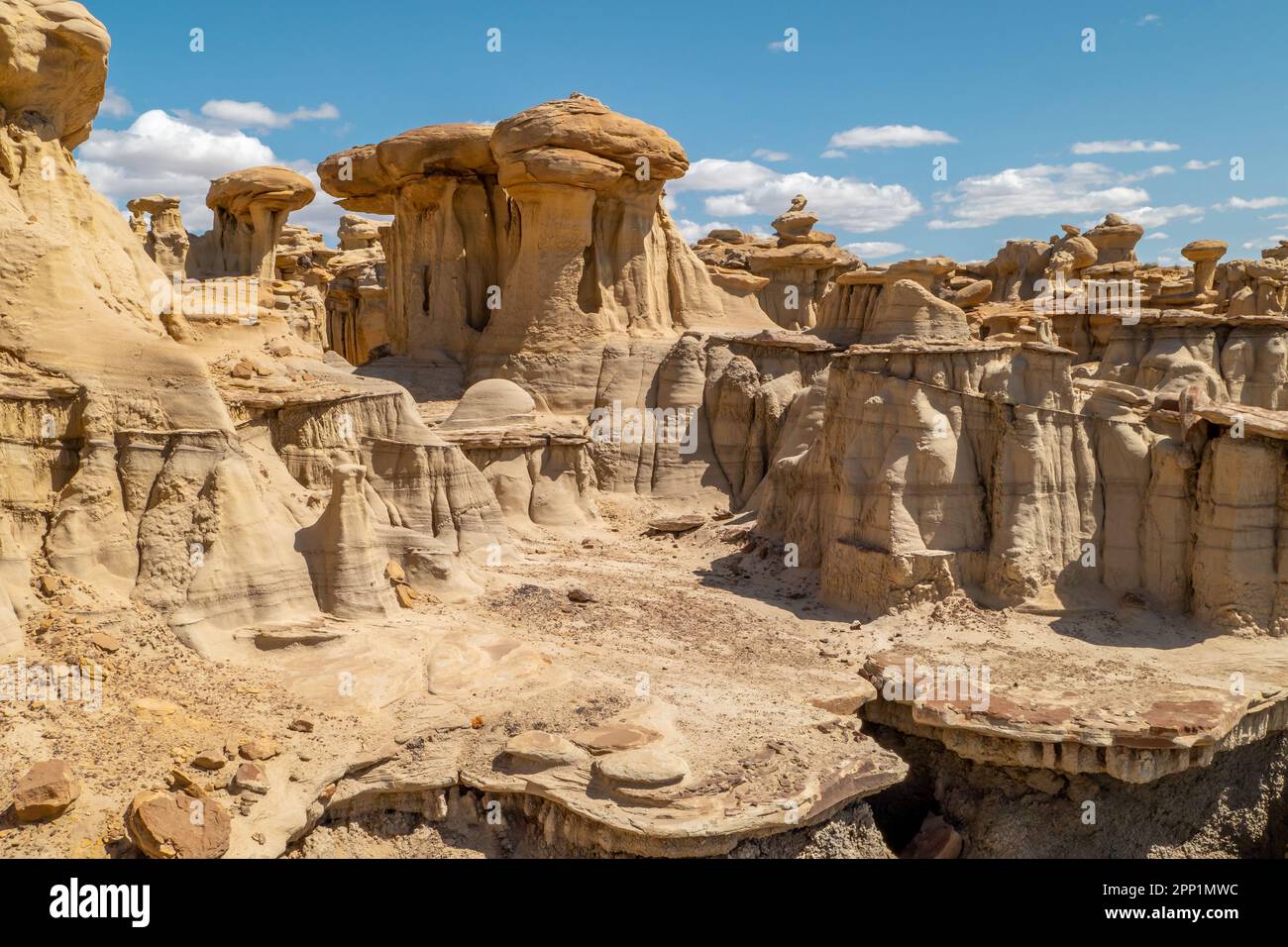 La ricompensa di una lunga escursione attraverso gli aridi badlands di Bista Badlands nel New Mexico sono queste formazioni geologiche uniche pazze e legno pietrificato AS Foto Stock