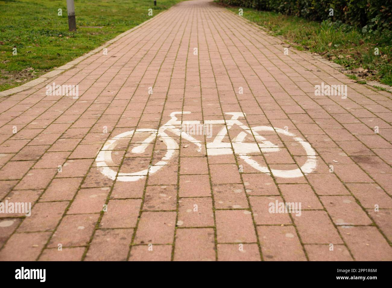 Bicicletta in writhe painten sul pavimento di una zona ciclabile Foto Stock