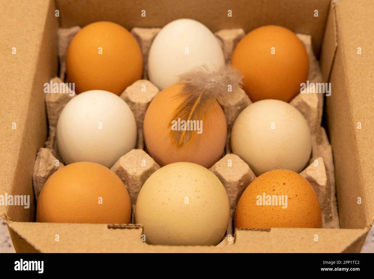 Uova fresche di pollo in colorati vassoi di cartone su uno sfondo bellissimo. Uova di gallina grezze organiche con guscio marrone come ingrediente proteico per eati sani Foto Stock