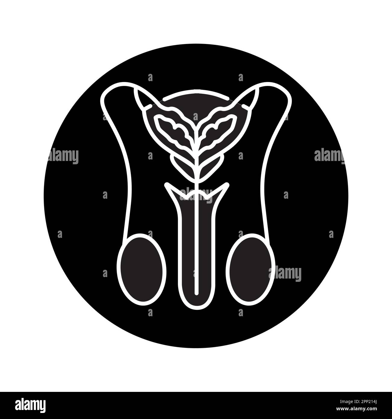 Icona della linea di colore del sistema urinario maschile. Pittogramma per pagina web, app mobile, promo. Illustrazione Vettoriale