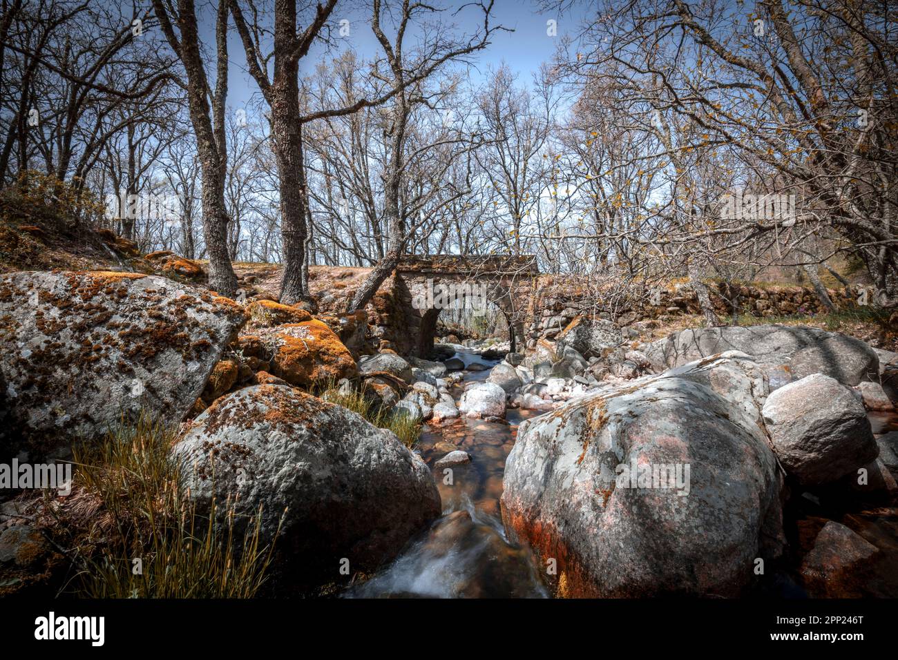 Bel paesaggio in inverno con alberi senza foglie, un ponte di pietra sotto il quale passa un ruscello tra grandi rocce Foto Stock