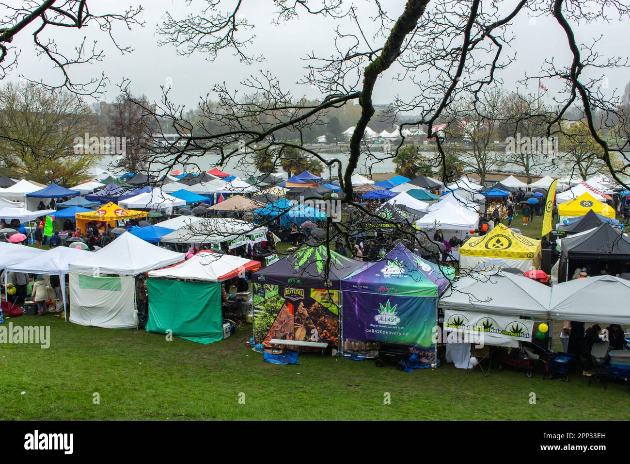 Scena del Festival della Cannabis di Vancouver del 420 al Sunset Beach Park. 420 (quattro-venti) è lo slang della cultura della cannabis che celebra la marijuana e la cultura del piatto Foto Stock