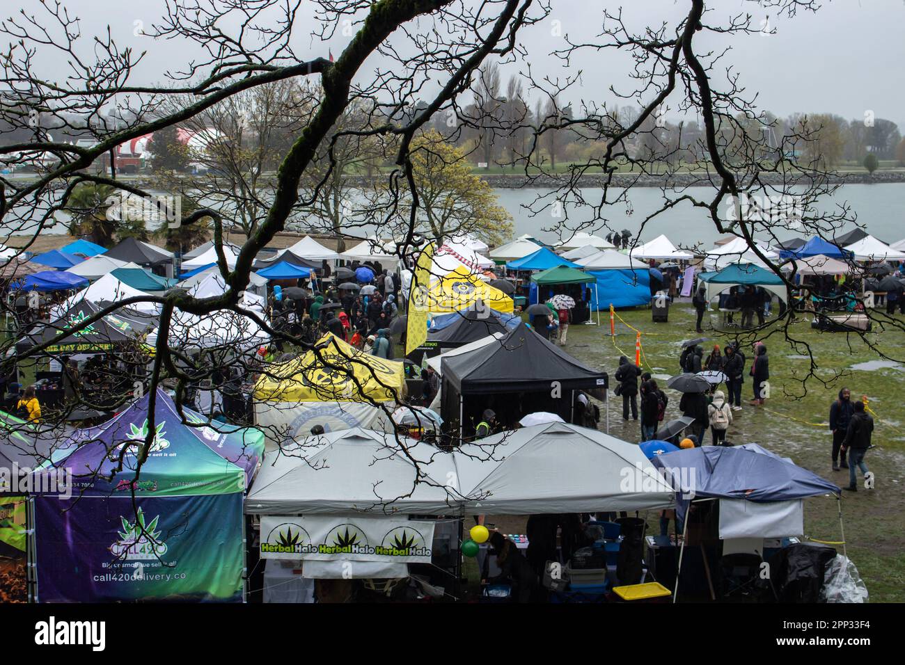 Scena del Festival della Cannabis di Vancouver del 420 al Sunset Beach Park. 420 (quattro-venti) è lo slang della cultura della cannabis che celebra la marijuana e la cultura del piatto Foto Stock