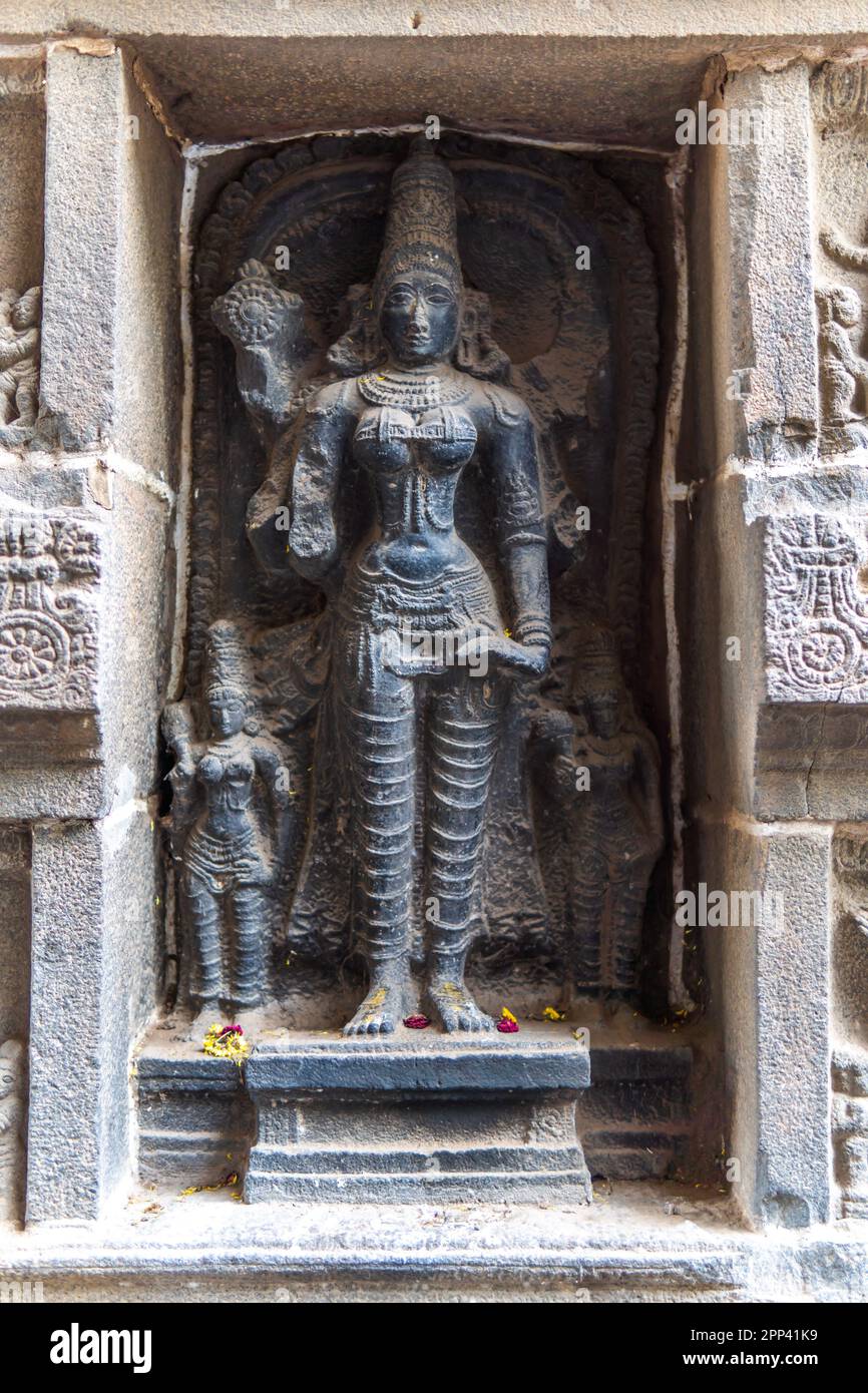 Sul Gopuram del Tempio Nataraja a Chidambaram, Tamil Nadu, India, sono scolpiti idoli danzanti. Foto Stock