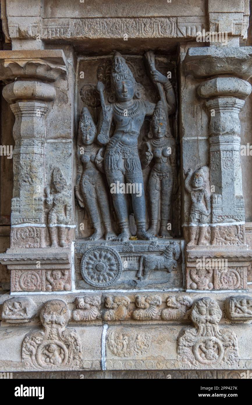 Le pareti in granito del tempio Chidambaram, un tempio indù vivente, nel Tamil Nadu, nell'India meridionale, sono adornate con sculture intagliate di divinità indù. Foto Stock